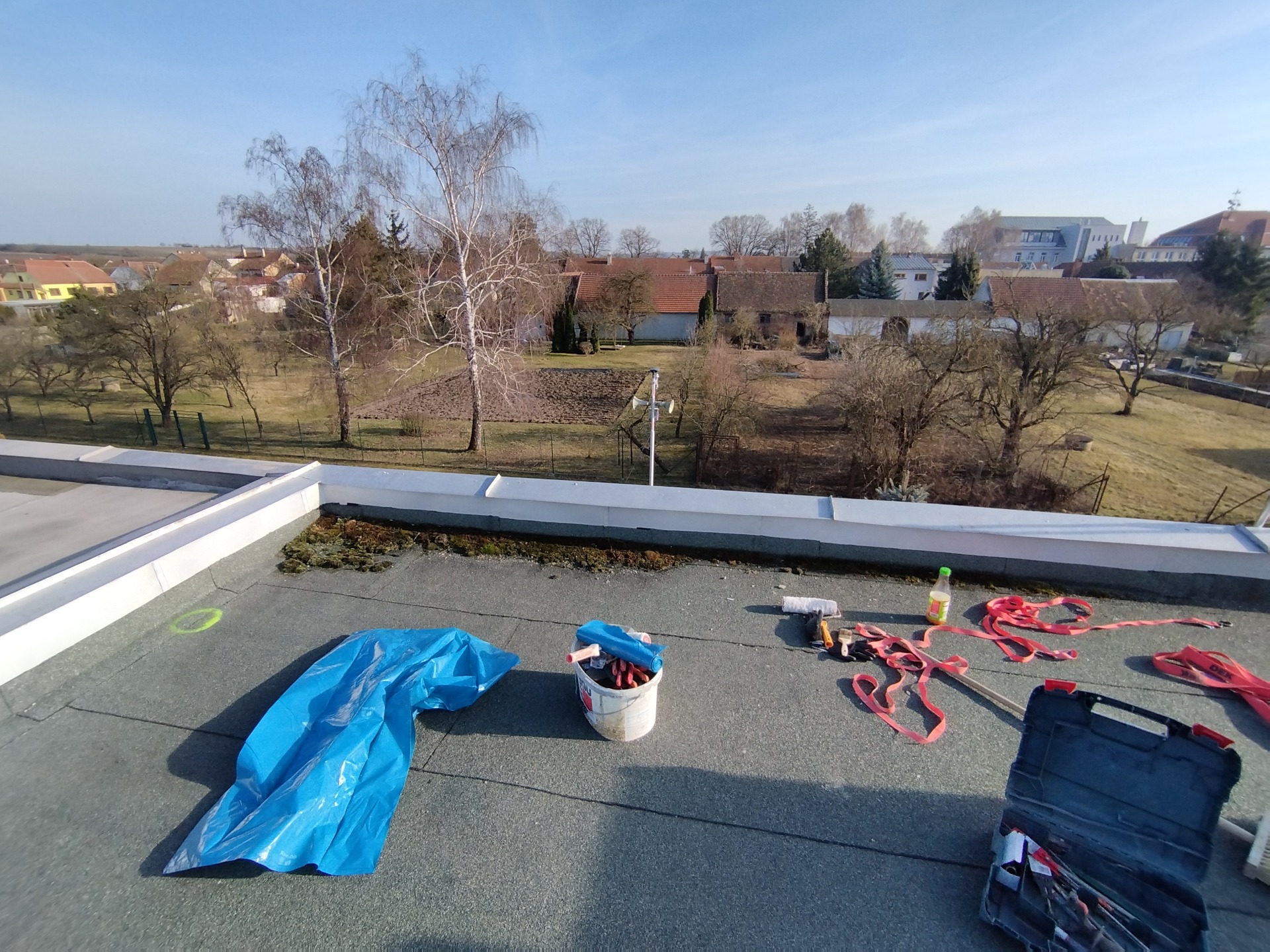 Biologická degradace a náletová zeleň