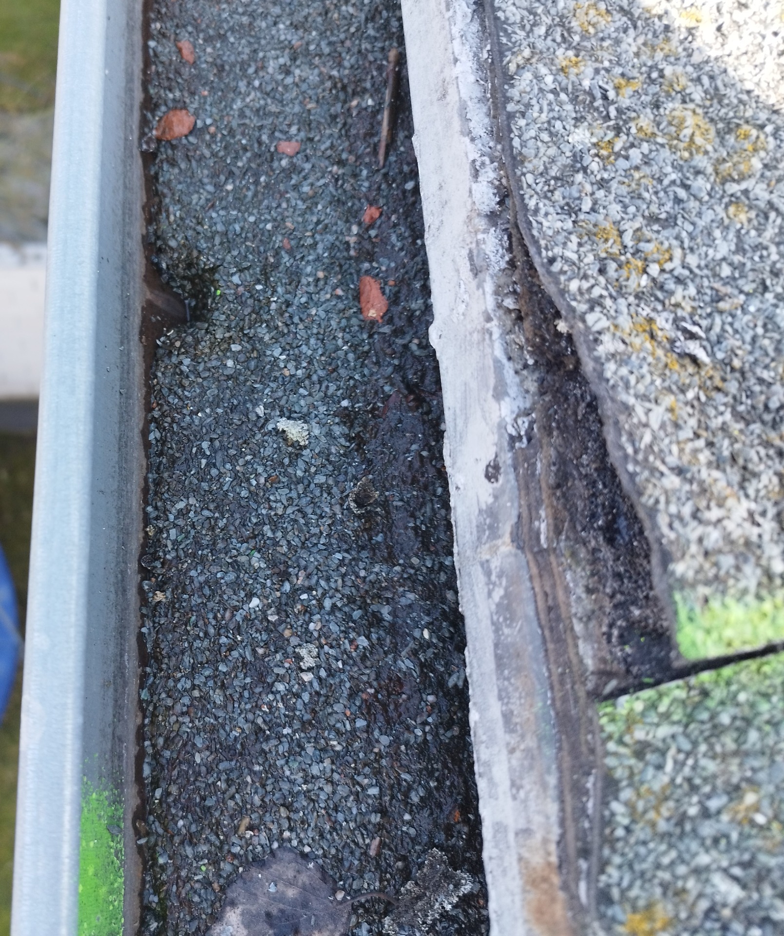 Kritický nános sedimentu a organického odpadu v okapovém žlabu